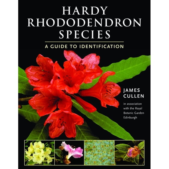 Hardy Rhododendron Species: A Guide to Identification, (Paperback)