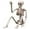 Beige, variant on Halloween Skeleton Decorations Outdoor, 16" Plastic Posable Skeleton with Movable Joints, Small Creepy Scary Skeletons for Halloween Decor, Graveyard Haunted House Props
