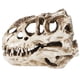 thumbnail image 2 of Cráneo de dinosaurio de resina con personalidad, adornos de esqueleto de Animal, accesorios, colección de Halloween, decoración artesanal, 2 of 14
