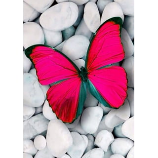 Qilery 12 Pcs Butterfly Diamond Painting Butterfly