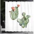 thumbnail image 3 of Ambesonne Cactus Shower Curtain, Blossoming Flowers Succulent, 69"Wx84"L, Reseda Green and Dark Salmon, 3 of 4