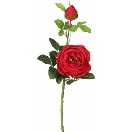 - Vickerman 24