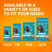 Iams Proactive Health Chicken And Turkey Dry Cat Food, 7 Lb Bag
