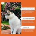 thumbnail image 3 of Spray disuasorio para gatos, spray antiarañazos natural para gatos, sin estimulación, fragancia de naranja, protectores de muebles para sofá, 1 unidad, 3 of 5