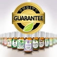 thumbnail image 3 of Healing Solutions - Best Blends Essential Oils Set (6x10ml) Pure for Gift Diffusers, Home (Breathe, Sleep, Relief, Muscle Relief, Stress Relief, Health Shield), 3 of 7