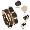 thumbnail image 4 of Didog Personalized Genuine Leather Padded Dog Collars Engraved Nameplate with D ring, 4 of 9