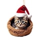 thumbnail image 2 of Colgante de coche de Navidad para gatos - Decoración colgante festiva para espejo retrovisor, mochila y hogar, adorno navideño rojo y verde, 2 of 8