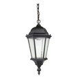 thumbnail image 1 of Elitco Lighting OD2602 20.25 in. 100W Outdoor Hang - Black, 1 of 1