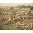 thumbnail image 2 of Hugo Mühlig 14x12 Gold Ornate Wood Frame and Double Matted Museum Art Print Titled - Sheep, 2 of 4
