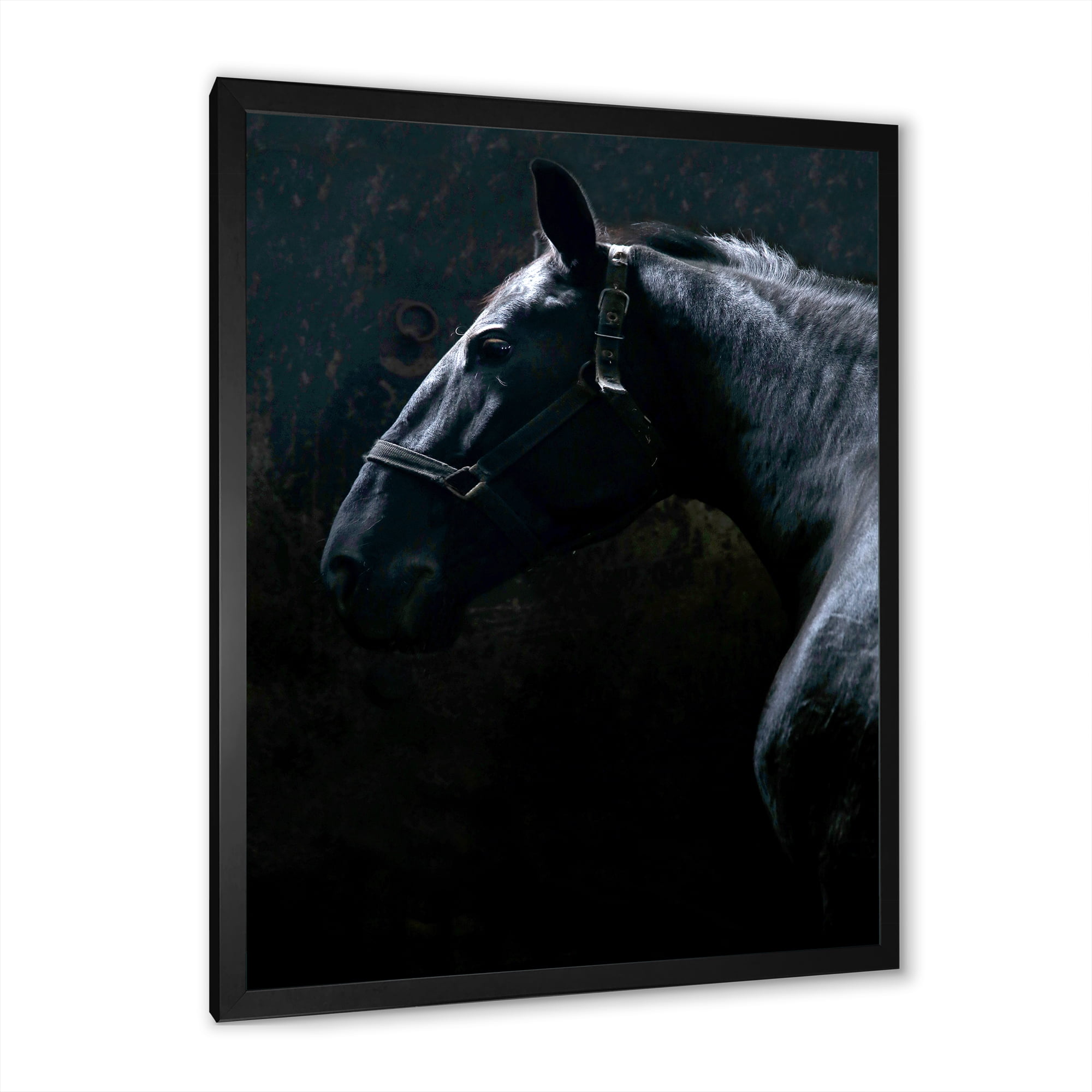 Designart 'Close Up Of Thoroughbred Nonius Stallion Horse II' Farmhouse Framed Art Print