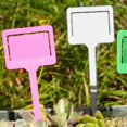 thumbnail image 2 of Gardening Labels, Succulent Labels, Insert Gardening Labels, Pink, 2 of 5
