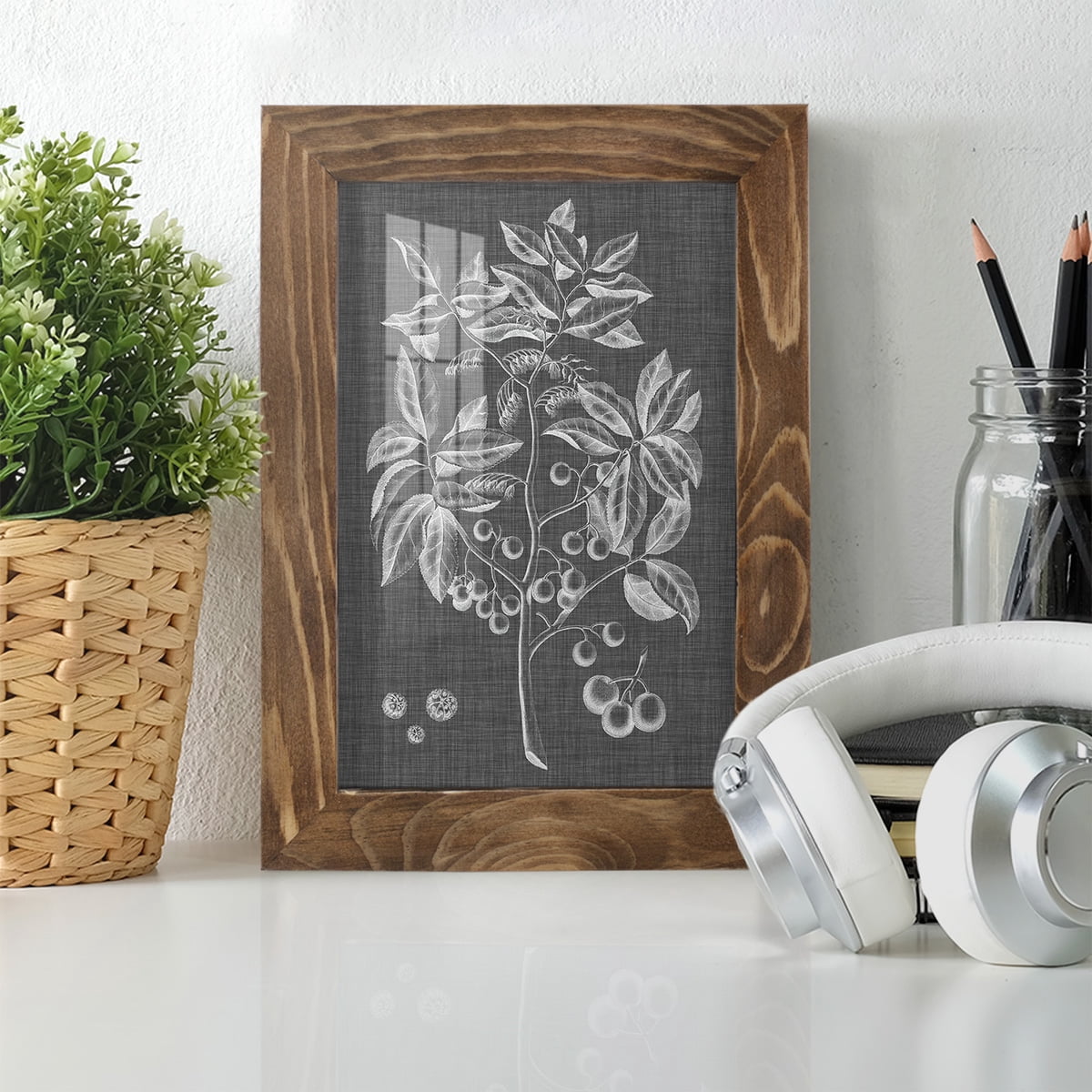 Graphic Foliage VI - Framed Print w/glass - Walnut