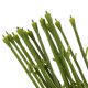 thumbnail image 3 of GOOHOCHY 50Ud Varillas Flores Artificiales De Plástico Flexibles Para, 3 of 6