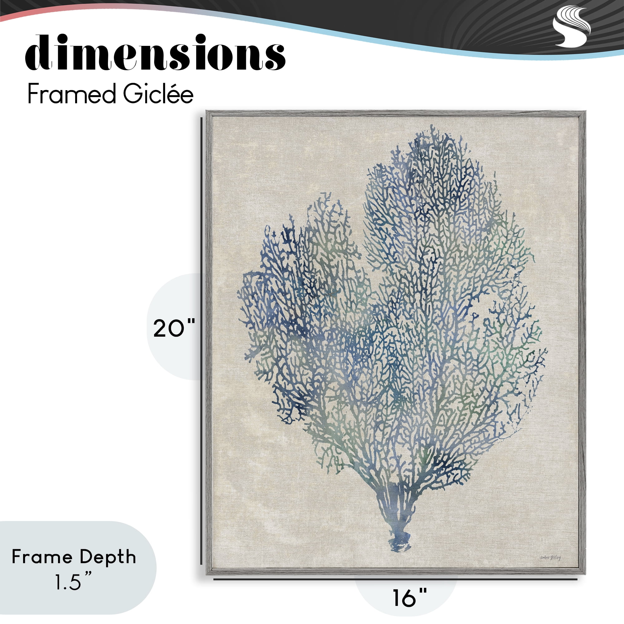 Stupell Industries Fan Coral in Blue & Green Gray Framed Giclee Art, design by Amber Sterling