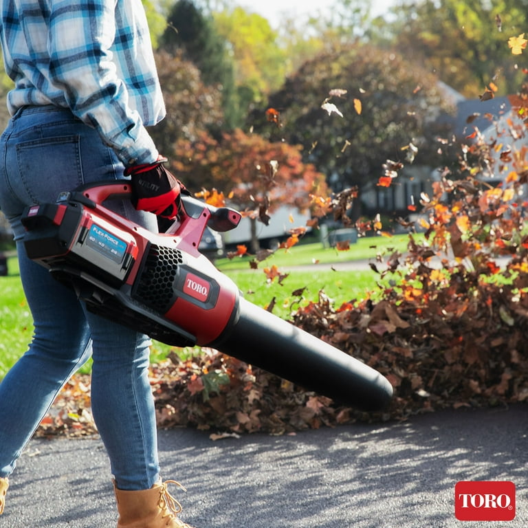 Toro 60 volt tools shop