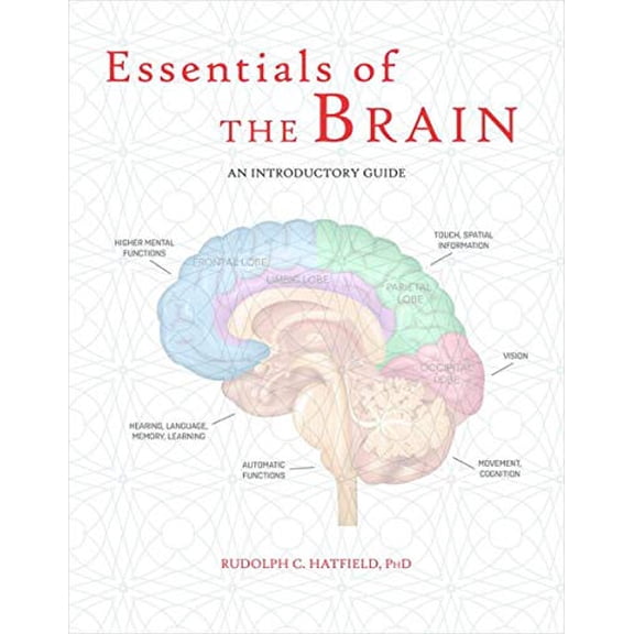 Pre-Owned Essentials of the Brain: An Introductory Guide