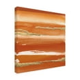 thumbnail image 4 of Chris Paschke 'Gilded Mandarin III Burnt Orange' Canvas Art, 4 of 4