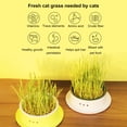 thumbnail image 4 of Reusable Hydroponic Cat Grass Planting Box - Convenient Grass Growing Box for Home, 4 of 8