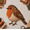 03# F, variant on 3D Patchwork Bird DIY Craft Kit, Creative Handmade Sewing Craft Project, Colorful Hummingbird Embroidery Art Set, Fabric Bird Decor Making Kit for Handcraft Lovers,Twilight