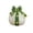 Green, variant on Ceramic Light-Up Christmas Present Ornament, Red Gift Box Tabletop Night Light with Bow and Star Cutouts for Mantels