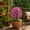 301#Hot Pink, variant on Outdoor Mum Ball Topiary Stake Plant, Uv Fade Resistant Pre Attached Spike No Maintenance Reusable Autumn Shrub, Fall Decorative Accent for Porch Walkway Halloween Thanksgiving Yard Layout