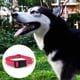 thumbnail image 3 of Collar para perros LED, collar para mascotas emisor de luz recargable por USB, collar de seguridad nocturno emisor de luz, 3 of 5