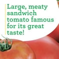 thumbnail image 5 of Bonnie Plants Park's Whopper Improved Tomato, 19.3 oz., 2-Pack, Live Plants, 5 of 12