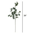 thumbnail image 3 of (2 pack) Mainstays Artificial Green Round Leaf Eucalyptus Stem, 34in Tall Floral Picks, 3 of 11