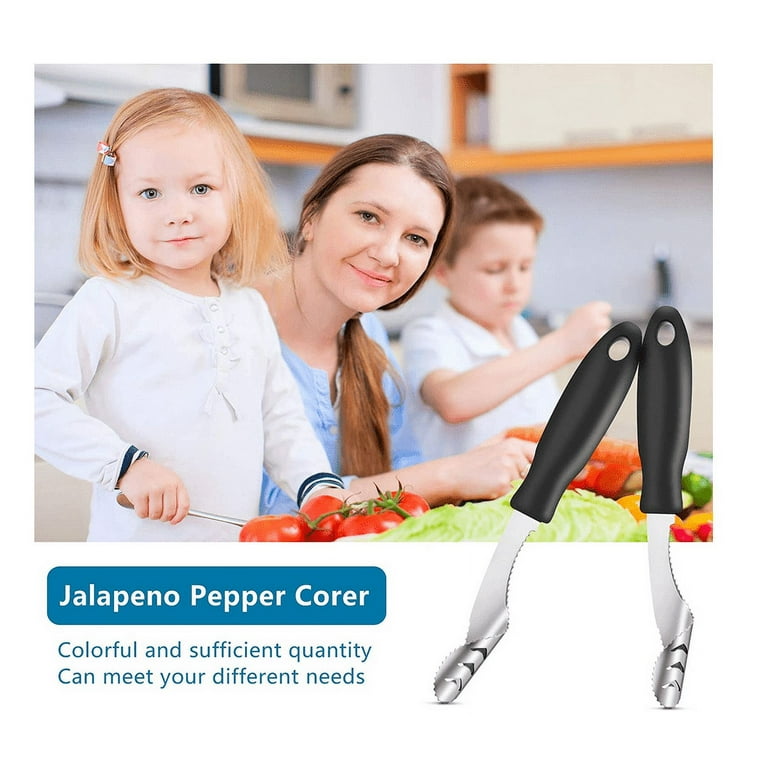 Chainplus Apple Slicer, Apple Cutter Slicer Corer, Stainless Steel Chopper  Peeler Pear Fruit Easy Cut 
