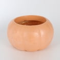 thumbnail image 4 of Mskk 7.1" Vintage Pumpkin Shape Planter Pot, Terracotta & Off White Flower Vase, Fall Halloween Decorative Container for Succulents Porch Table Decor, 4 of 5