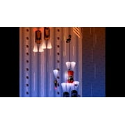Speed Limit [PlayStation 4]