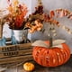thumbnail image 5 of Injueey Luz hueca de calabaza de Halloween portátil para casa encantada Luces LED multifuncionales hacia arriba naranja Type2 NO2, 5 of 6
