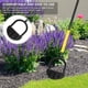 thumbnail image 3 of Bordeadora para césped, herramienta para jardín, bordeadora de media luna con diente de sierra, bordeadora Manual ergonómica para césped con mango largo para paisajismo, 3 of 5