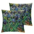 thumbnail image 2 of Acheng  Van Gogh Irises In The Garden Throw Pillow Cover Set of 2 Oil Painting Grass Floral Bouquet Bud Botanical Plant Beautiful Pillow Case Decorative Men Women White, 2 of 6