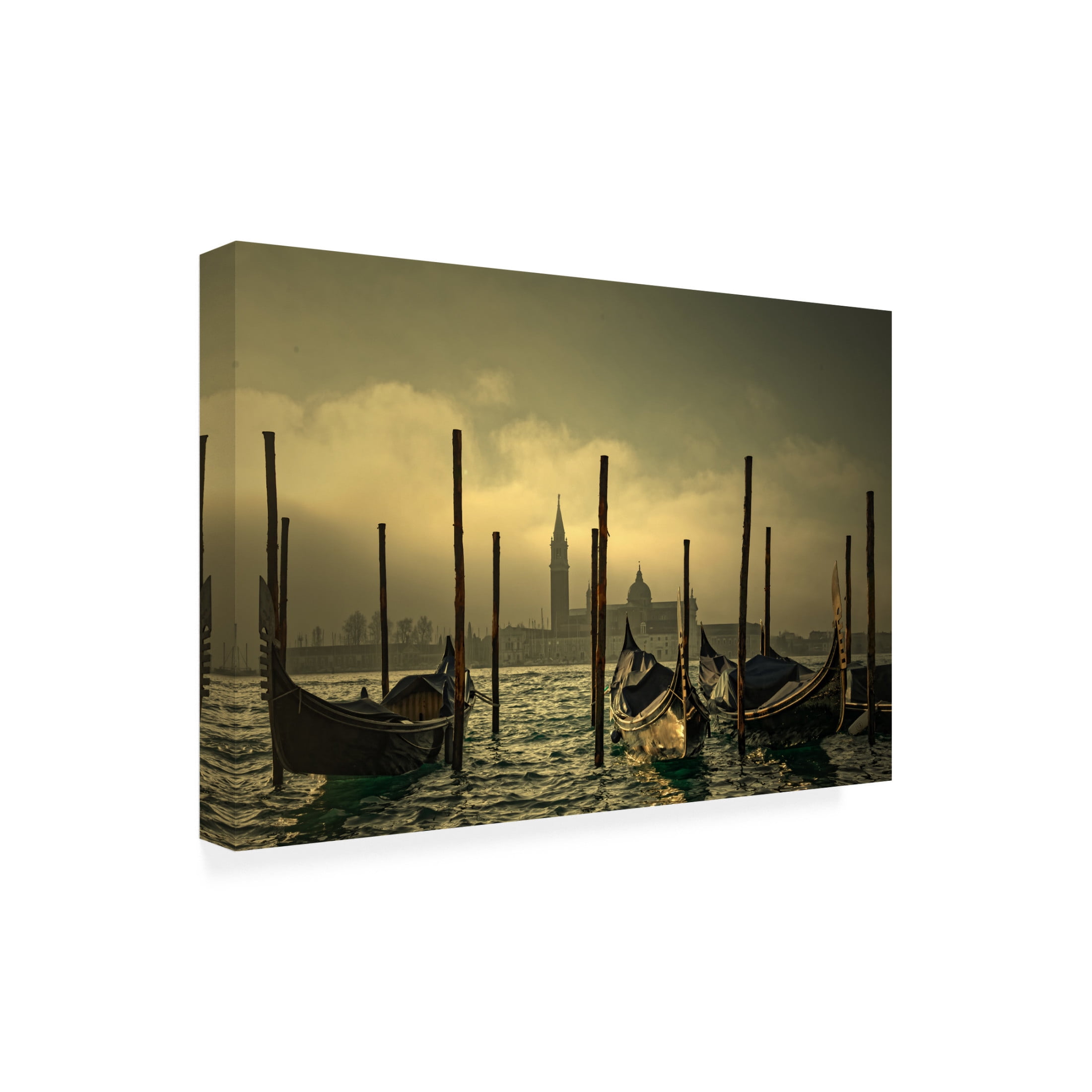 Trademark Fine Art Isabelle DUPONT Light In The Mist Canvas Wall Art