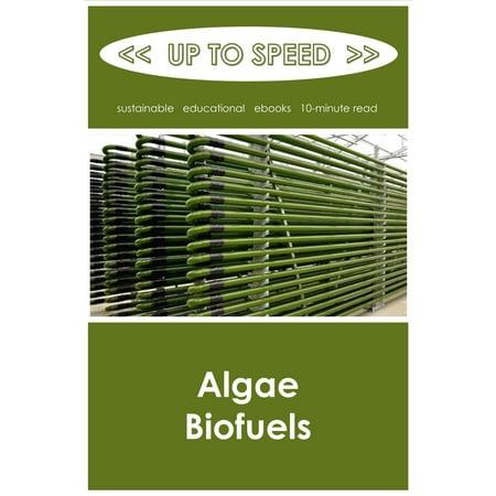 Algae Biofuels - eBook
