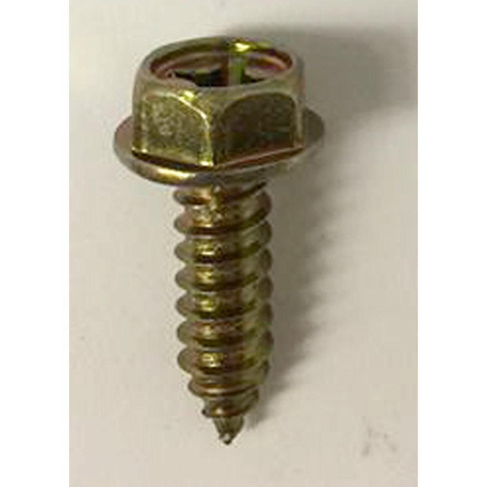 50 M61.81 x 20mm Phillips Hex License Plate Screws