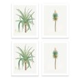 thumbnail image 1 of Arte de la pared pintura decoración exquisito decoraciones interiores sin marco de protección Populaciones de plantas para plantas pinturas colgantes con estilo simple 4 piezas Scienceny HA011834-00, 1 of 7