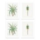 thumbnail image 1 of Decoración de pintura de arte de pared Exquisita decoración interior sin marco Prop Planta imágenes temáticas Pinturas colgantes con estilo simple, 4 piezas Inevent HA011834-00, 1 of 7