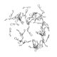 thumbnail image 5 of 50x de Inoxidable Conector de Pesca Barril Giratorio Broche S, 5 of 7