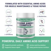 150-Day Supply Horse Amino Acid Supplement - Equine Amino Complex for Muscle, Topline & Recovery Support - Supports Strength, Tissue Repair & Vitality - Daily Horse Supplement Powder