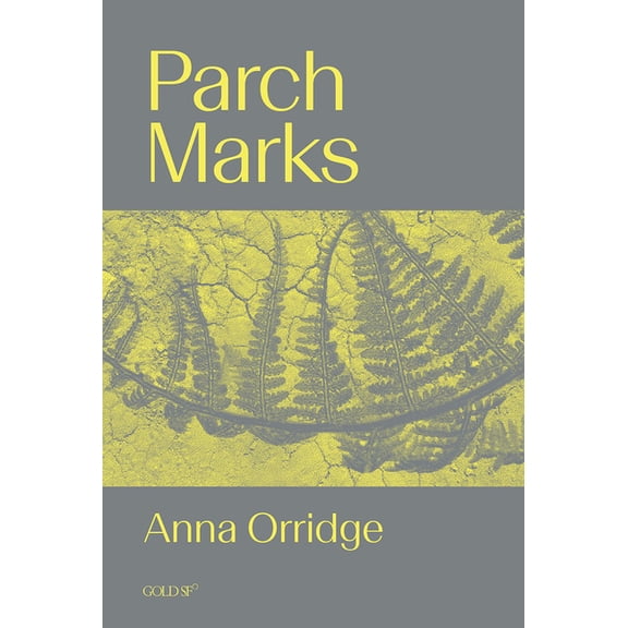 Goldsmiths Press / Gold SF Parch Marks, (Paperback)
