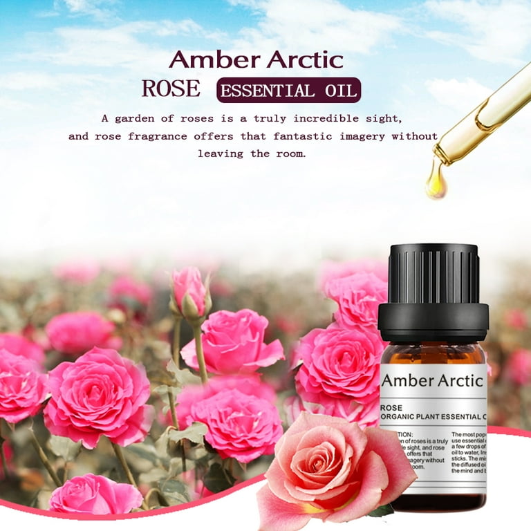 Rose Essential Oil 100% Pure Organic Rose Oil for Diffuser, Perfume,  Massage, Aroma, Bath - 10ML