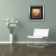 thumbnail image 4 of Trademark Fine Art 'Sunset Birds' Canvas Art by Rachel Paxton, Black Matte, Silver Frame, 4 of 4
