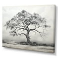 thumbnail image 2 of Designart "Simplistic African Tree Essence I" Tree African Canvas Prints, 2 of 7