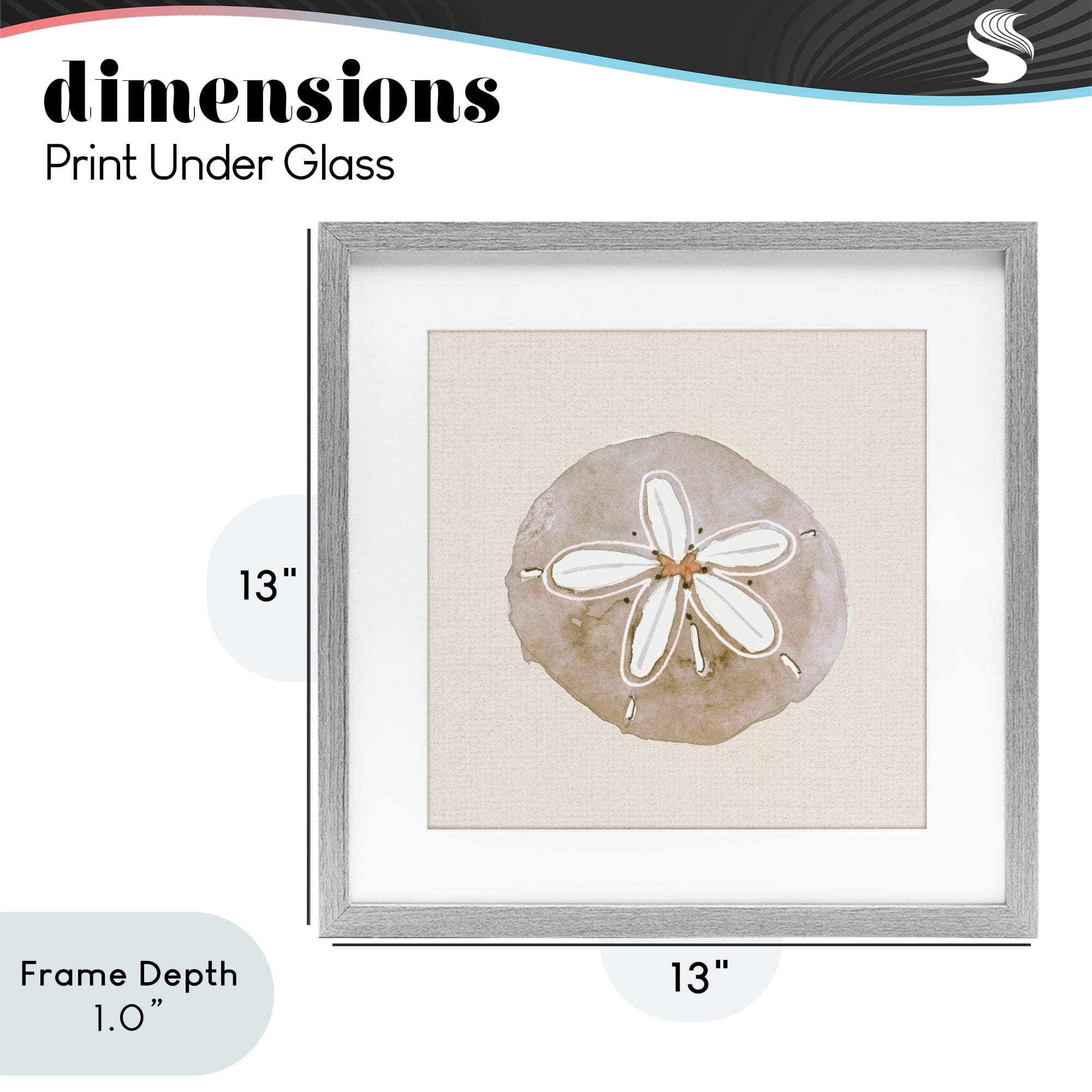 Stupell Industries Serene Beige Sand Dollar Gray Framed Print Under Glass, design by Lanie Loreth