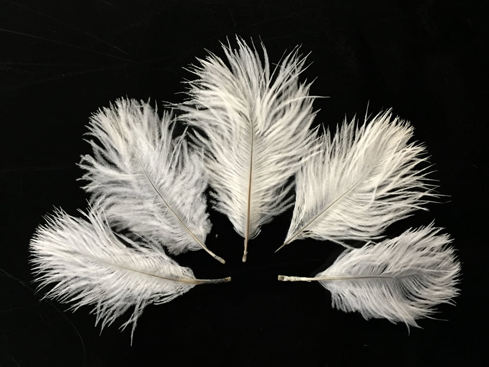 where can i buy white feathers in bulk