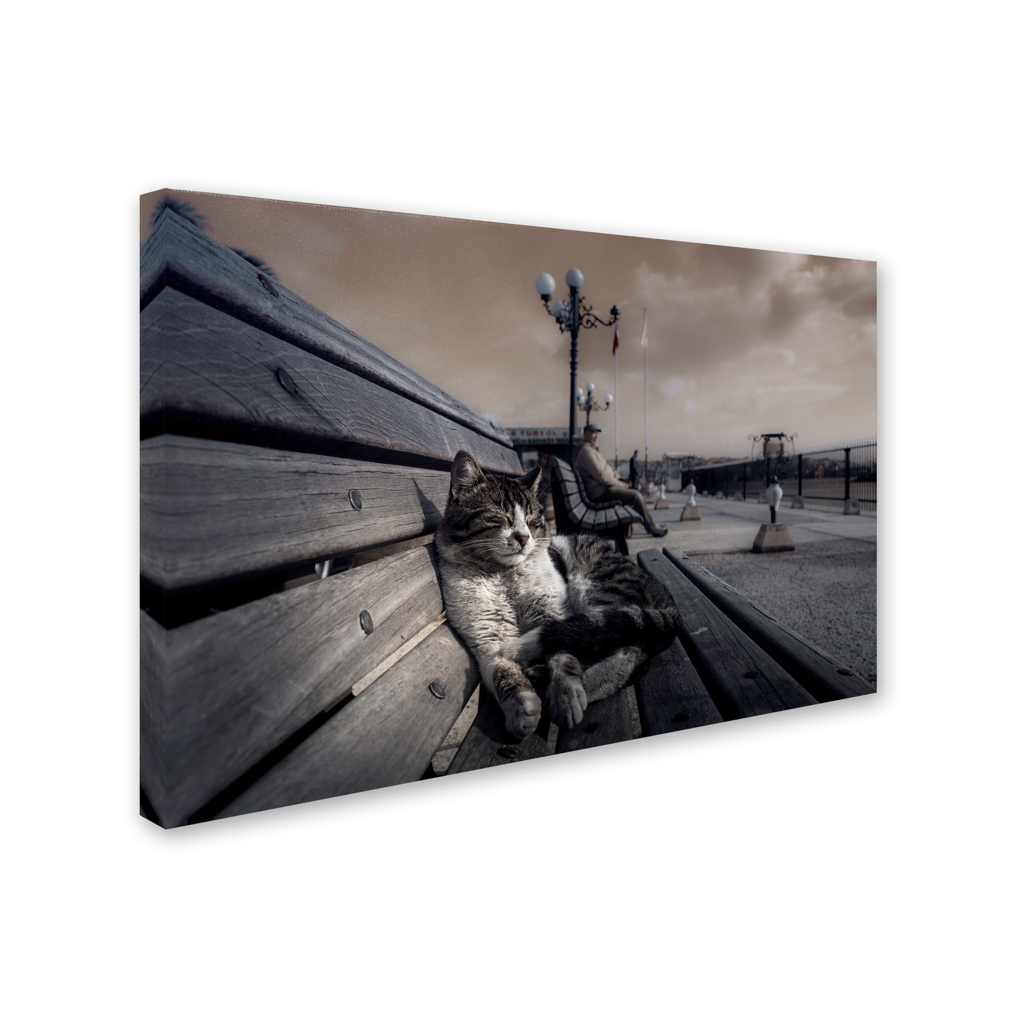 Trademark Fine Art 'Sluggard' Canvas Art by Ahmet Mustafa Arvas
