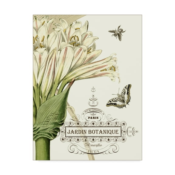 Trademark Fine Art 'Jardin Botanique II' Canvas Art by Vision Studio