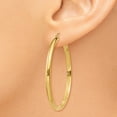 thumbnail image 3 of Primal Gold 14 Karat Yellow Gold Hoop Earrings, 3 of 6